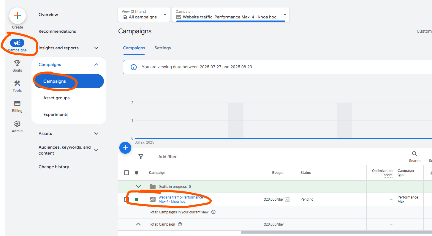 view new campaign on the dash board