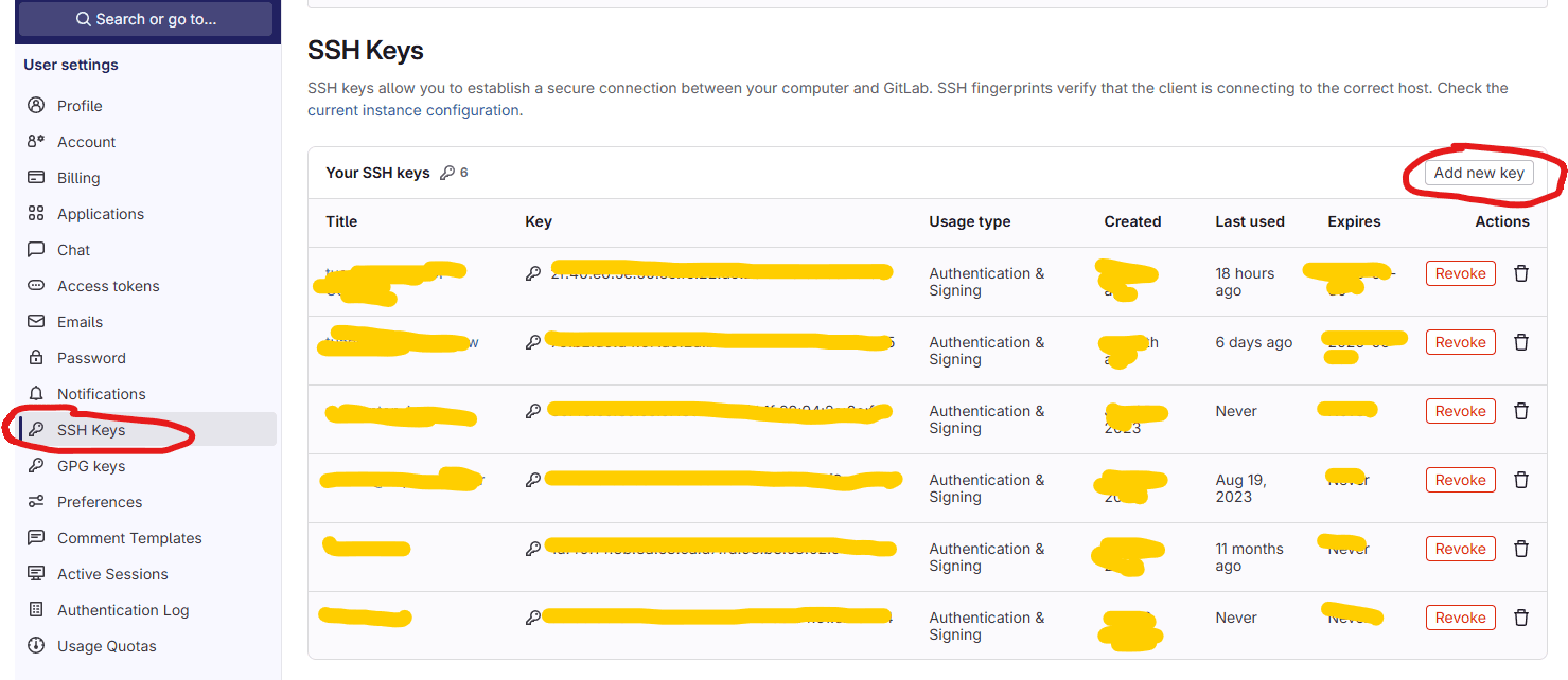 gitlab ssh key config